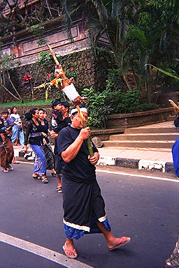 Balinese Funeral in Ubud pig