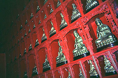Hong Kong 10,000 buddhas