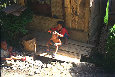 Toraja Scenery haircut