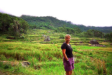 Toraja Scenery Julie