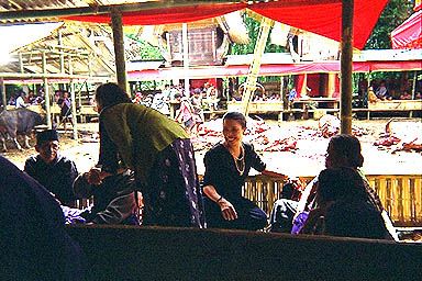 Toraja sacrifice serving